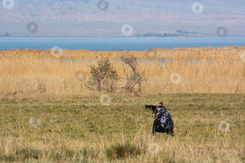 Скачать Девушка-фотограф, делающая снимки в дикой природе фотосток Ozero