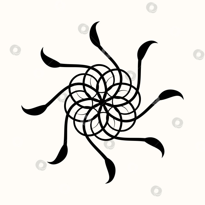Скачать Черный цветок. Однотонная хризантема. фотосток Ozero