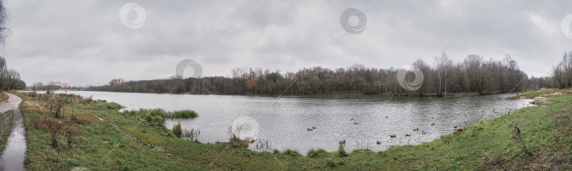 Скачать панорамный вид на озеро в осеннем парке фотосток Ozero