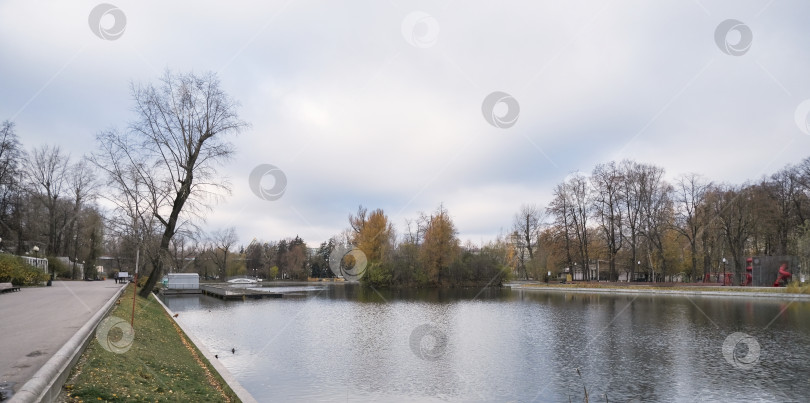 Скачать небольшой пруд в городском парке с дикими утками осенью фотосток Ozero