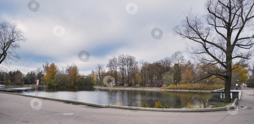 Скачать небольшой пруд в городском парке с дикими утками осенью фотосток Ozero