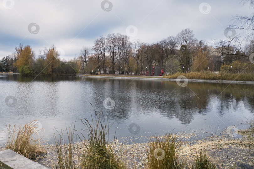 Скачать небольшой пруд в городском парке с дикими утками осенью фотосток Ozero