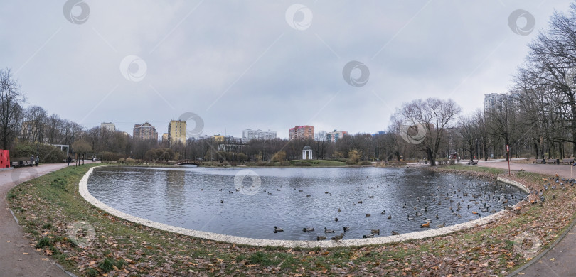 Скачать панорамный вид на озеро в осеннем парке с дикими утками фотосток Ozero