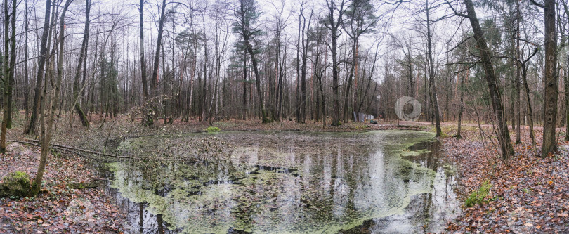 Скачать оленье озеро в московском парке покрылось грязью фотосток Ozero