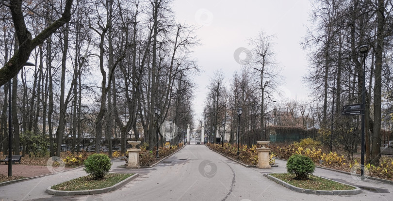 Скачать центральная аллея в парке Горького в Москве осенью фотосток Ozero