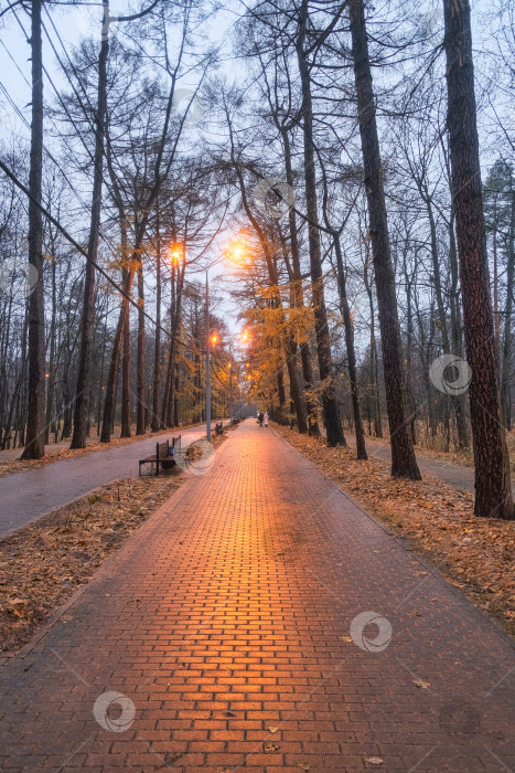 Скачать тротуар в вечернем парке из плитки осенью в дождливую погоду при свете фонарей фотосток Ozero