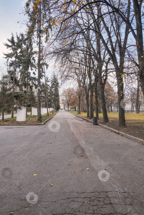 Скачать центральная аллея в парке Горького в Москве осенью фотосток Ozero