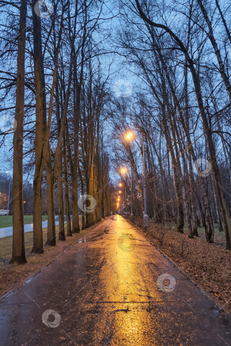 Скачать асфальтированная дорога в парке вечером в дождливую погоду в свете желтых фонарей фотосток Ozero