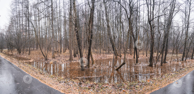 Скачать панорамный вид на осенний лес, наполненный водой фотосток Ozero