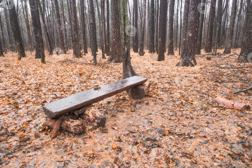 Скачать скамейка из дерева в осеннем лесу среди опавших листьев фотосток Ozero