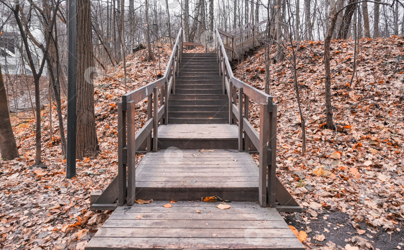 Скачать деревянная лестница для подъема на холм в осеннем парке фотосток Ozero