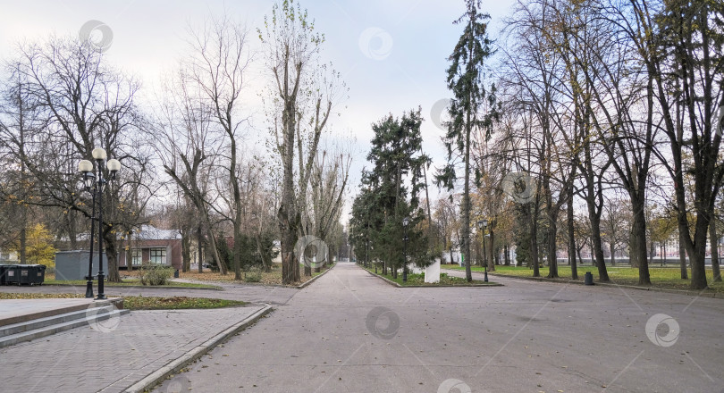 Скачать Центральная аллея в парке Горького в Москве в пасмурную погоду фотосток Ozero