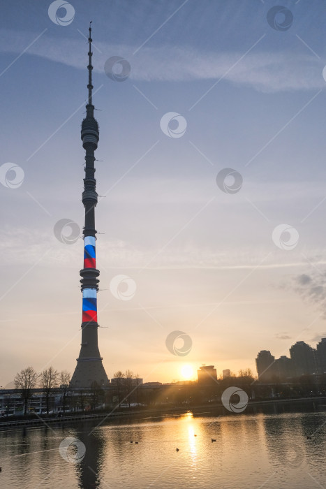 Скачать Вечерний вид Останкинской телебашни на Москву снят 11.11.2023 фотосток Ozero