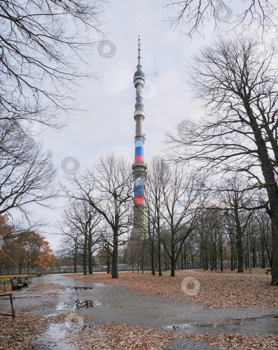 Скачать Дневной обзор Останкинской телебашни в Москве снят 11/07/2023 фотосток Ozero