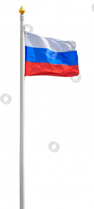Скачать Флаг Российской Федерации развевается на ветру на белом древке с позолоченным наконечником (изолированный) фотосток Ozero