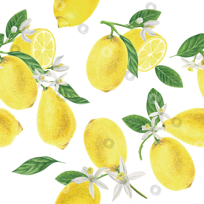 Скачать Бесшовный фон с цитрусовыми. Лимоны с листьями и цветками фотосток Ozero