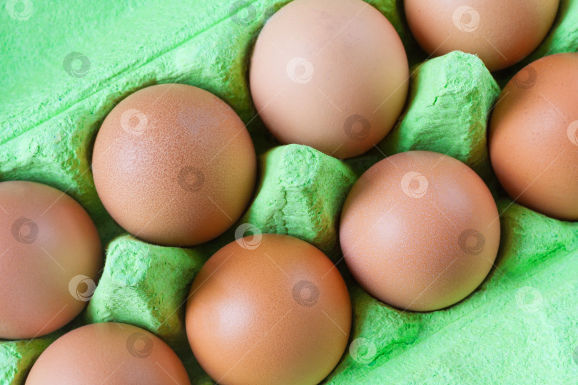 Скачать Вид сверху на коричневые куриные яйца в зеленой картонной коробке (крупным планом) фотосток Ozero