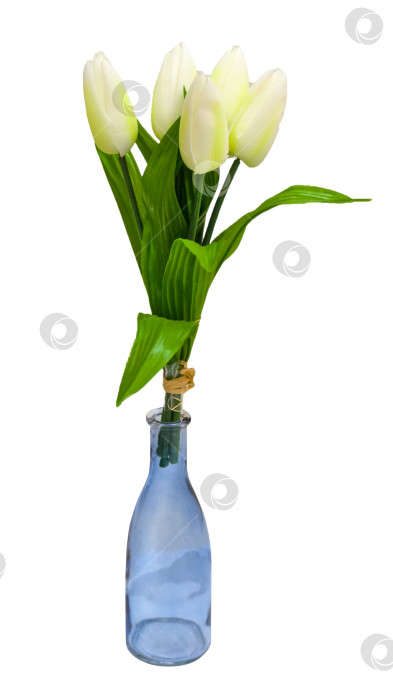 Скачать Букет светло-желтых тюльпанов в стеклянной бутылке, выделенный на белом фоне фотосток Ozero