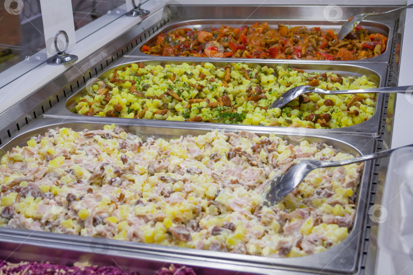 Скачать Разные разноцветные готовые салаты на прилавке в магазине фотосток Ozero