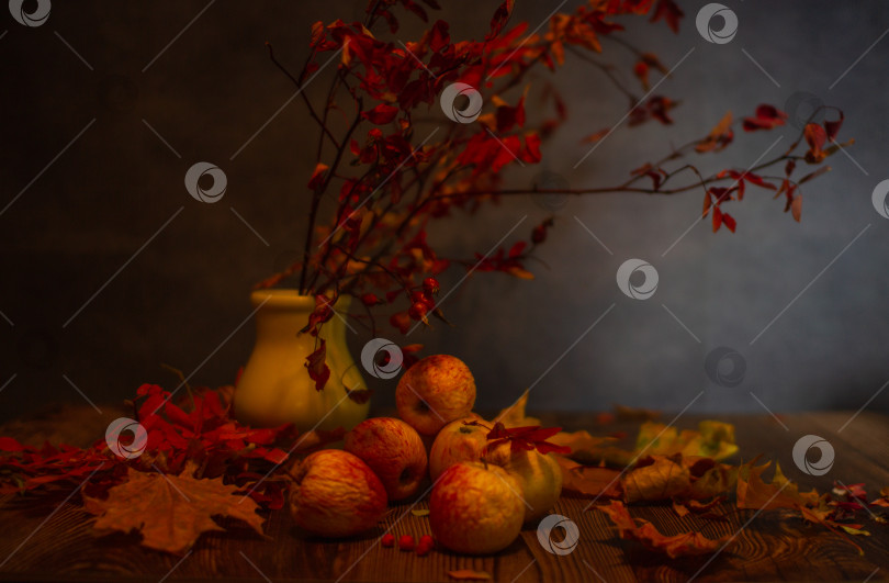 Скачать На столе - увядшие яблоки, сухие листья и веточка шиповника фотосток Ozero