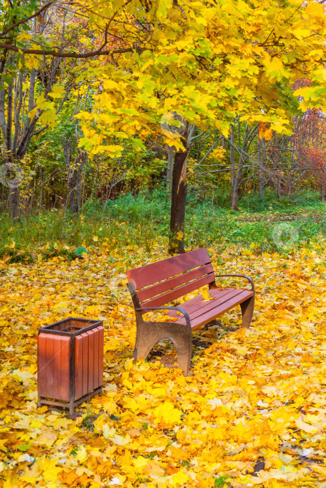 Скачать Деревянная скамейка и мусорный бак в осеннем парке фотосток Ozero