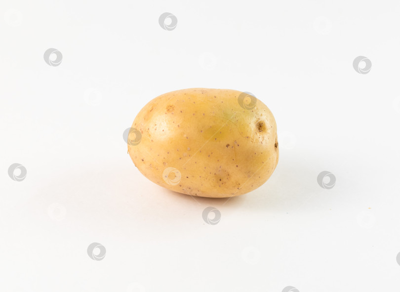 Скачать Картофелина на белом фоне фотосток Ozero