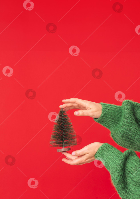Скачать Крупный план ладони женщины в зеленом свитере, держащей маленькую рождественскую елку на красном фоне фотосток Ozero
