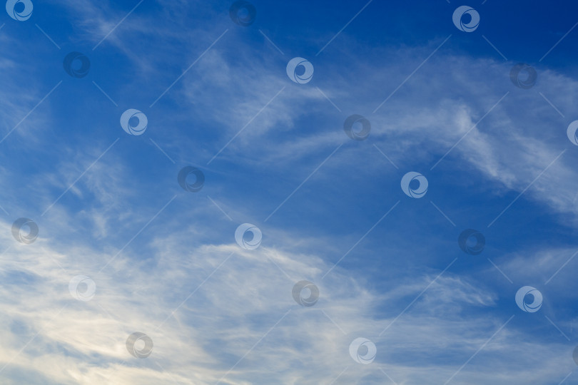 Скачать Белые перистые облака на голубом небе (задний план) фотосток Ozero