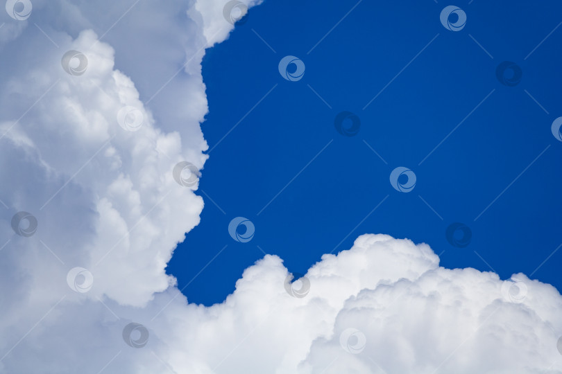 Скачать Крупный план белых кучевых пушистых облаков на фоне голубого неба с пространством для копирования фотосток Ozero
