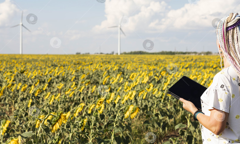Скачать молодая женщина с планшетом в поле с подсолнухами, ветряные турбины для производства экологически чистой энергии, экоэнергия, ветряные турбины, место для копирования фотосток Ozero