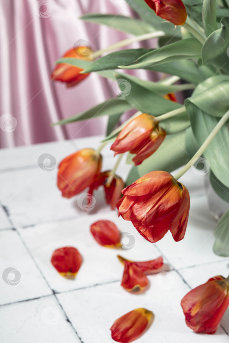 Скачать Элегантность в упадке: тихая красота увядающих тюльпанов на фоне белой плитки, контраст между жизненной силой и неизбежным течением времени. фотосток Ozero