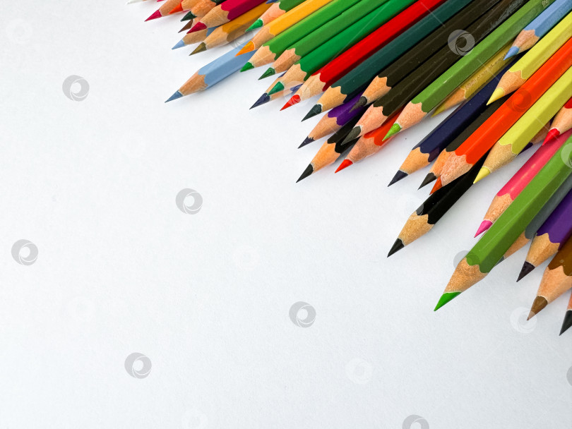 Скачать Диагональное расположение острых разноцветных карандашей на белом фоне с пустым пространством для текста. Художественная концепция для канцелярских товаров, образования, дизайн рекламного баннера для школьных товаров. фотосток Ozero