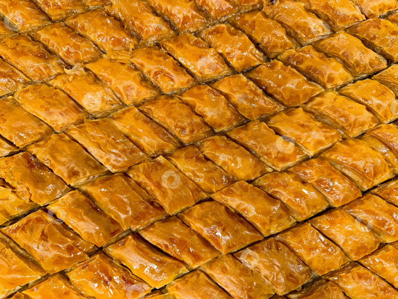 Скачать На плотном фоне выложенная рядами свежеиспеченная пахлава золотисто-коричневого цвета, покрытая сиропной глазурью, традиционный ближневосточный десерт из сладкой выпечки, текстура крупным планом. Концепция Рамадана. фотосток Ozero