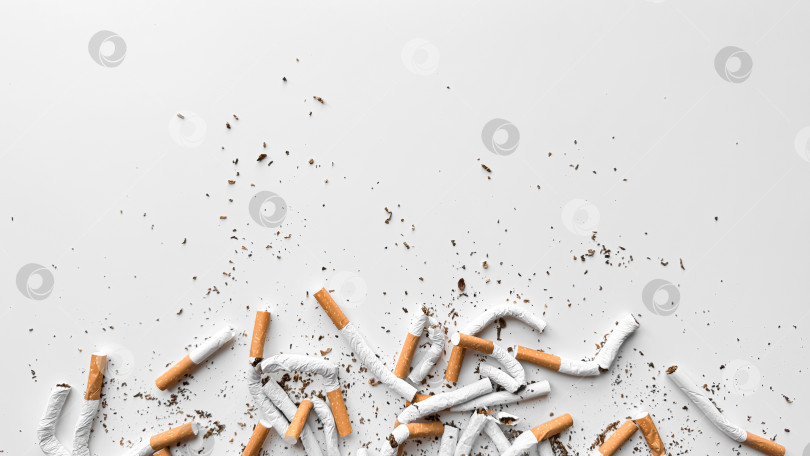 Скачать Выброшенные, смятые, сломанные сигареты и рассыпанный табак на белом фоне, символизирующие прекращение курения, с выделенным пространством для копирования. День без табака. фотосток Ozero