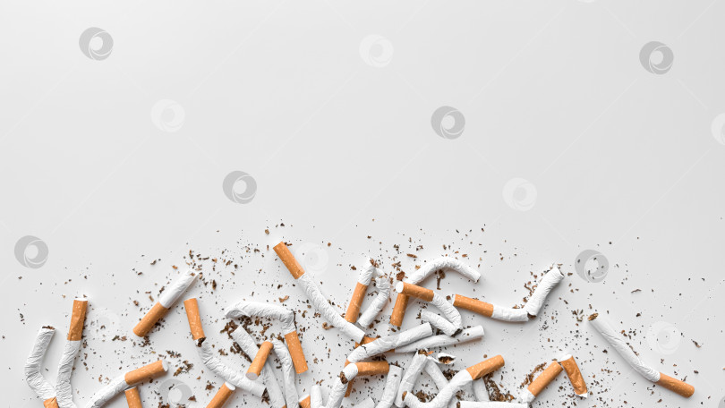 Скачать Выброшенные, смятые, сломанные сигареты и рассыпанный табак на белом фоне, символизирующие прекращение курения, с выделенным пространством для копирования. День без табака. фотосток Ozero