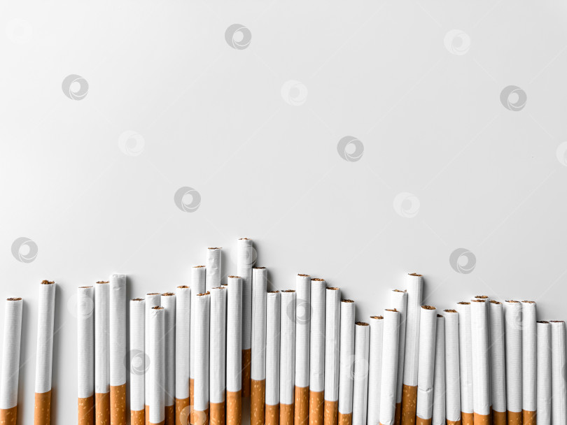 Скачать Незажженные сигареты, выложенные узором на белом фоне, - концептуальное изображение о сокращении курения и повышении осведомленности о здоровье. День без табака. фотосток Ozero