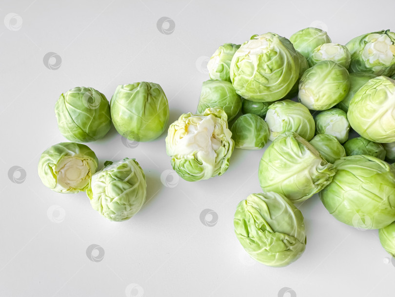 Скачать Свежая брюссельская капуста на белом фоне, концепция полезных зеленых овощей с пространством для копирования. фотосток Ozero