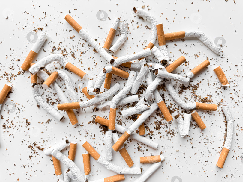 Скачать Раздавленные сигареты и рассыпанный табак на белом фоне символизируют отказ от курения и борьбу с пагубной привычкой. День без табака. фотосток Ozero