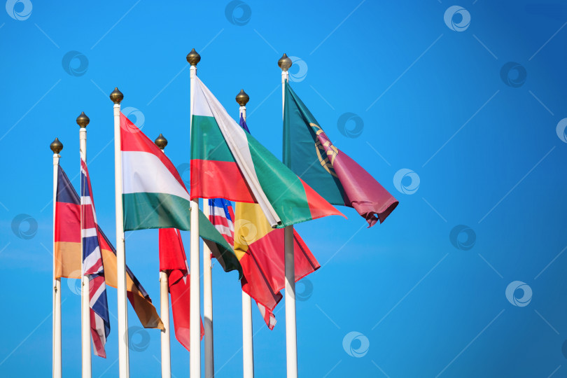 Скачать Флаги разных стран развиваются на ветру на фоне ярко-голубого неба с большим пространством фотосток Ozero