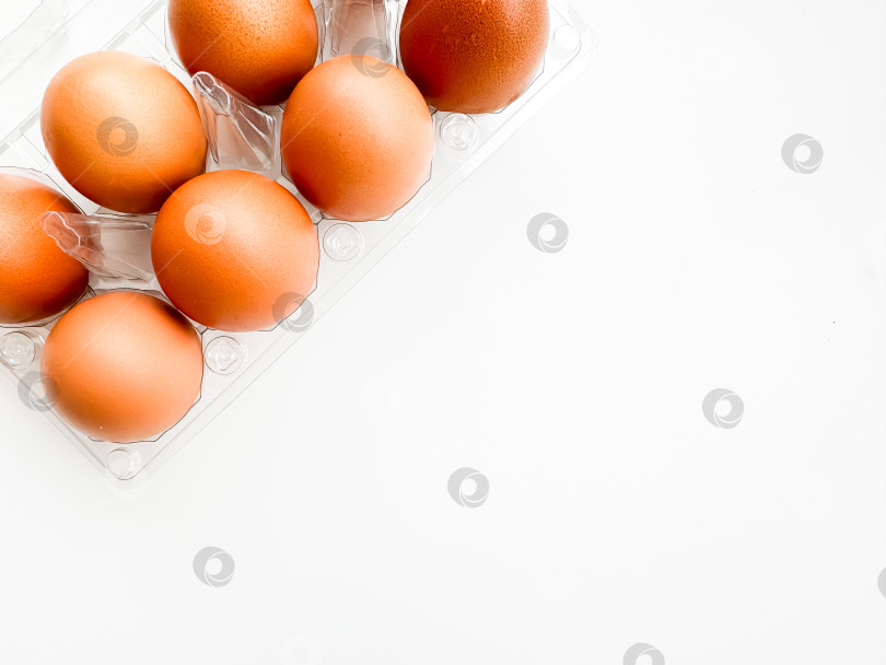 Скачать Коричневые яйца в прозрачной пластиковой упаковке на белом фоне, вид сверху. Концепция экологически чистых продуктов, необходимых для завтрака и здорового питания с использованием пространства для копирования. фотосток Ozero