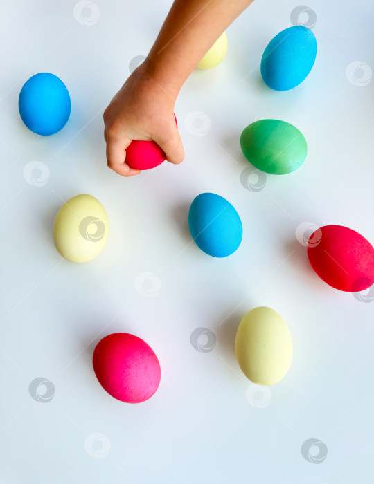 Скачать Рука ребенка, подбирающего голубое пасхальное яйцо среди разноцветных яиц на белой поверхности, - интерактивная и увлекательная концепция праздничного мероприятия. Может использоваться для создания образовательных материалов, посвященных развитию мелкой моторики у детей, в рекламных акциях по поиску пасхальных яиц. фотосток Ozero