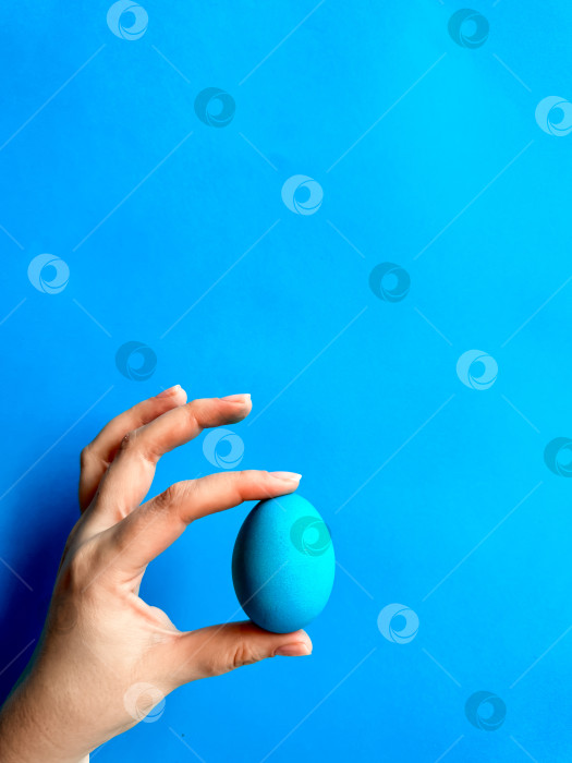 Скачать Рука балансирует голубым яйцом на кончике пальца на однотонном синем фоне - минималистская концепция баланса, Пасхи и простоты с пространством для текста. фотосток Ozero