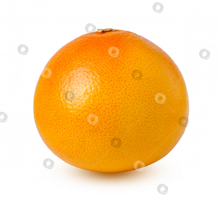 Скачать Цельный грейпфрут с тенью, выделенной на белом фоне. Элемент дизайна фотосток Ozero