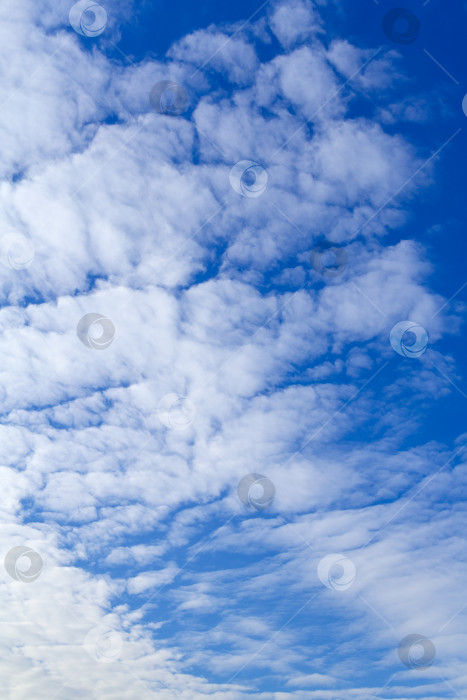 Скачать Белые перистые облака в лазурном небе (задний план) фотосток Ozero