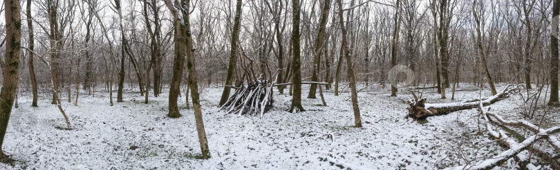 Скачать хижина в зимнем лесу между деревьями фотосток Ozero