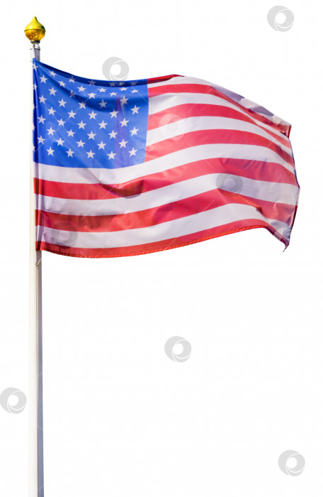 Скачать Флаг Соединенных Штатов Америки, развевающийся на ветру, на белом древке с позолоченным наконечником (изолированный) фотосток Ozero
