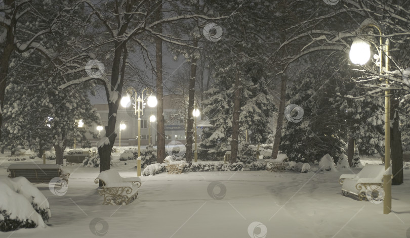 Скачать красивый городской парк во время сильного снегопада фотосток Ozero