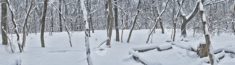 Скачать красивый зимний сельский пейзаж фотосток Ozero