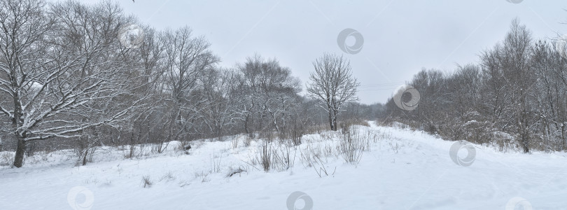 Скачать красивый зимний сельский пейзаж фотосток Ozero