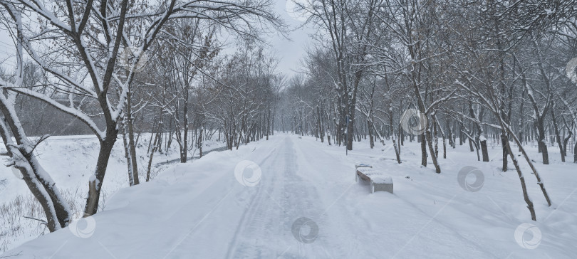 Скачать красивый зимний сельский пейзаж фотосток Ozero